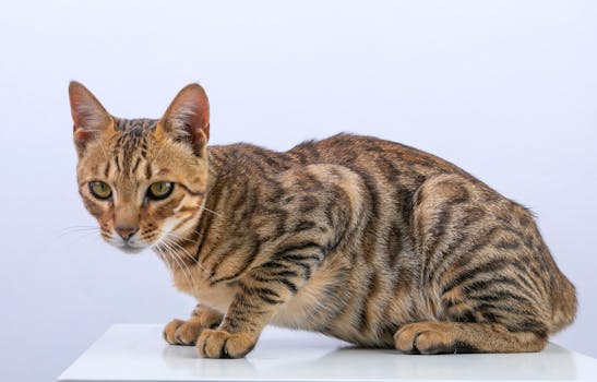 协创数据年度报告出炉，盈利水平显著提高；多业务协同发力，研发创新持续加码。