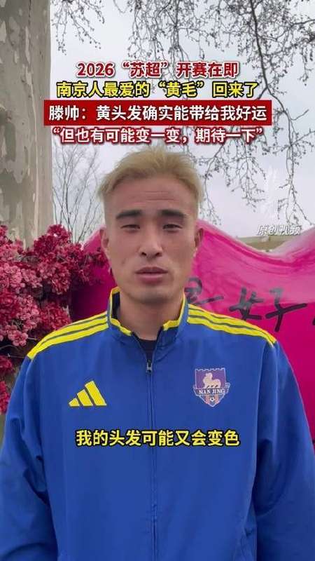  解析竞技韧性：从南京队赛季布局看职业体育的深度成长价值 体育新闻