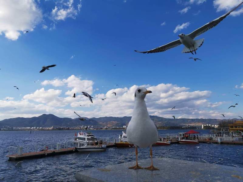  专业缩减背后的隐忧：高校如何面对智能化浪潮的洗牌？ 教育招生