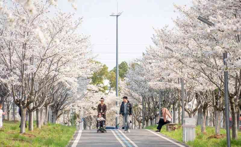 武汉东西湖五环体育中心：梁静茹演唱会选址背后的文旅融合逻辑 文化旅游