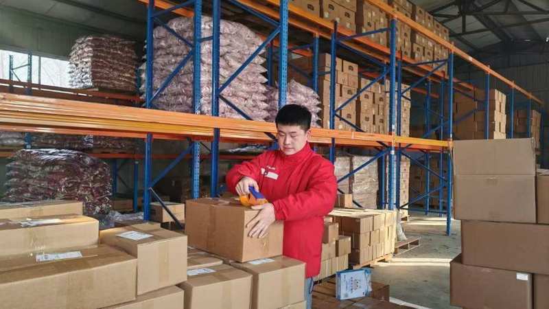 技术突围:中国新能源全球扩张的底层逻辑与实战方法论 新闻