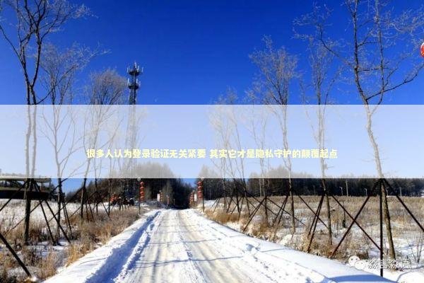 很多人认为登录验证无关紧要 其实它才是隐私守护的颠覆起点 新闻