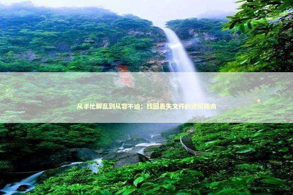 从手忙脚乱到从容不迫：找回丢失文件的进阶指南 IT技术