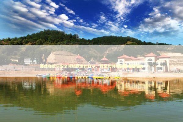 那些在数字安全领域摸索的日子，我是如何找到靠谱路径的