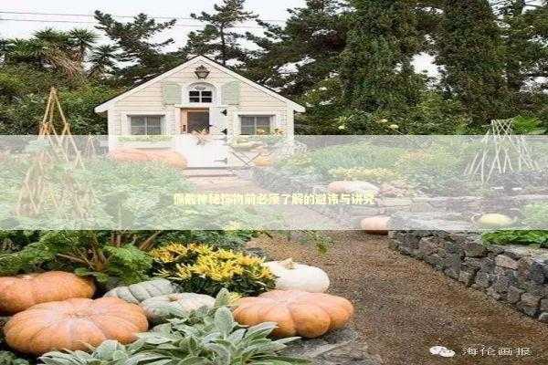 佩戴神秘饰物前必须了解的避讳与讲究