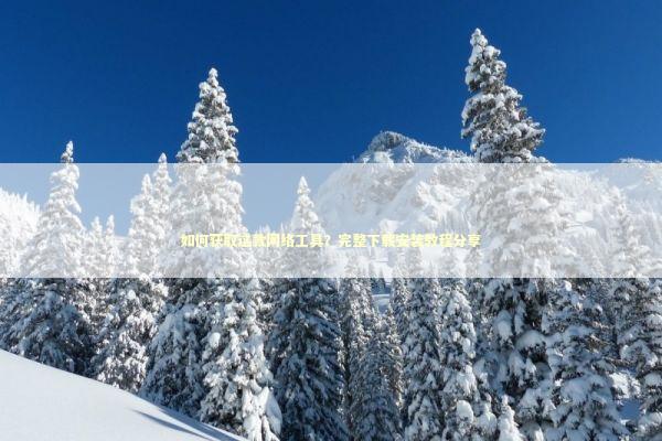 如何获取这款网络工具？完整下载安装教程分享