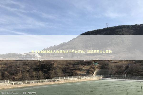 为什么越来越多人选择在这个平台写作？背后原因令人震惊 IT技术