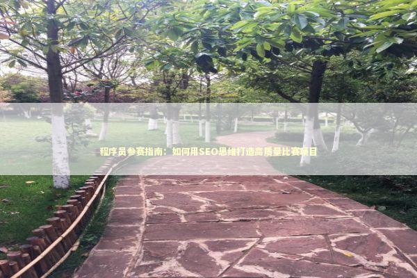 程序员参赛指南：如何用SEO思维打造高质量比赛项目 IT技术