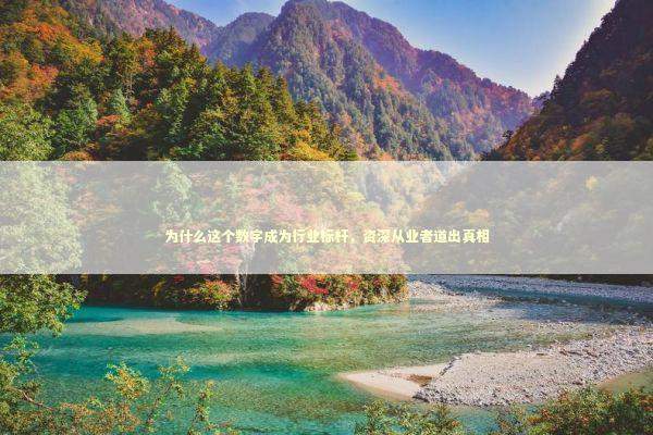 为什么这个数字成为行业标杆,资深从业者道出真相 为什么这个数字成为行业标杆,资深从业者道出真相 企业服务
