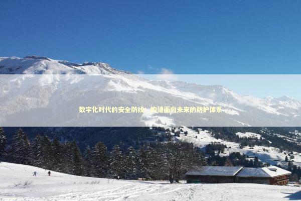 数字化时代的安全防线:构建面向未来的防护体系 数字化时代的安全防线:构建面向未来的防护体系 企业服务